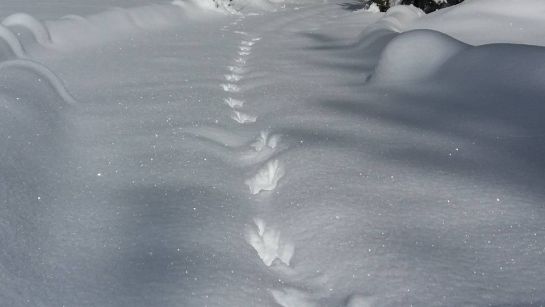 Figyelmeztetnek a hegyimentők