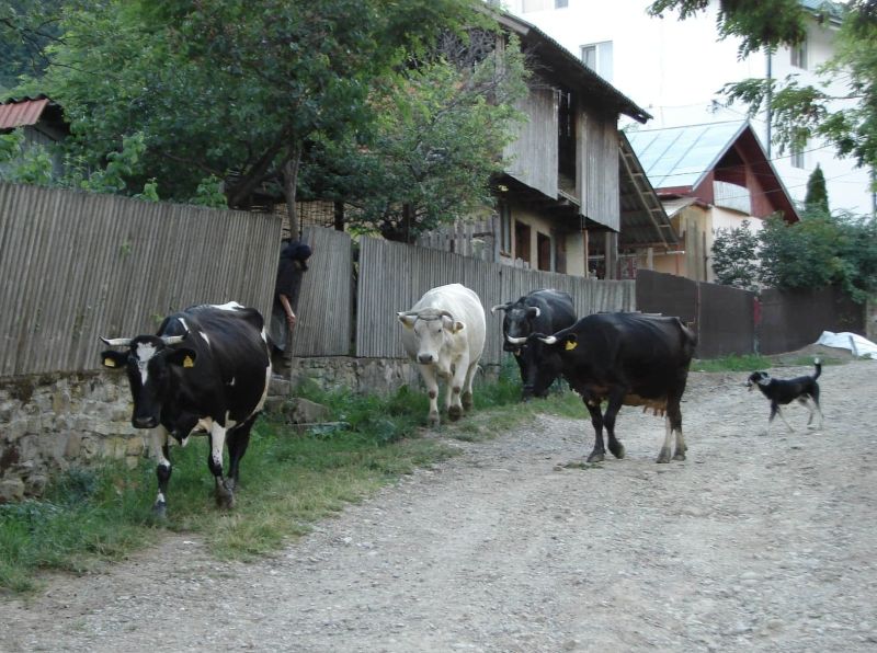 Mezőgazdasági adatgyűjtés kezdődik