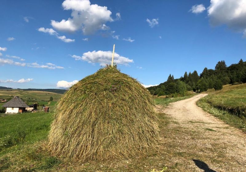 Csökkent augusztusban az ingatlan-eladás, de így is több volt, mint tavaly ilyenkor