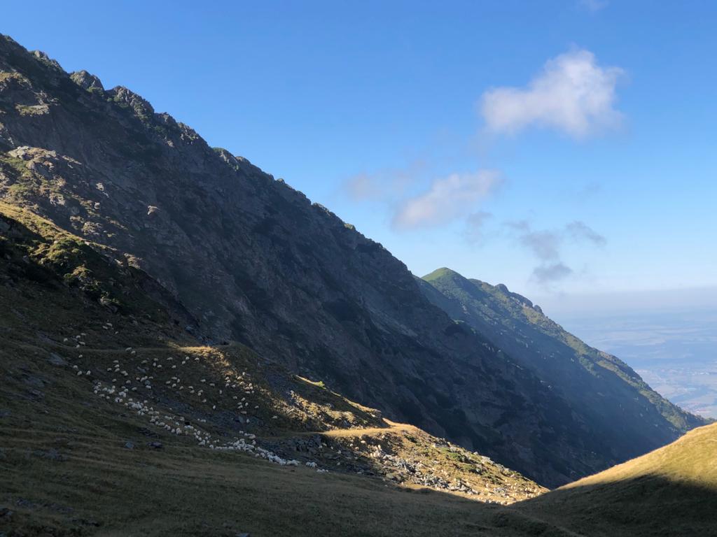 Megnyílik holnap a Transalpina magashegyi út