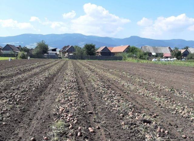 Közeleg az agrártámogatási kérelmek benyújtásának határideje