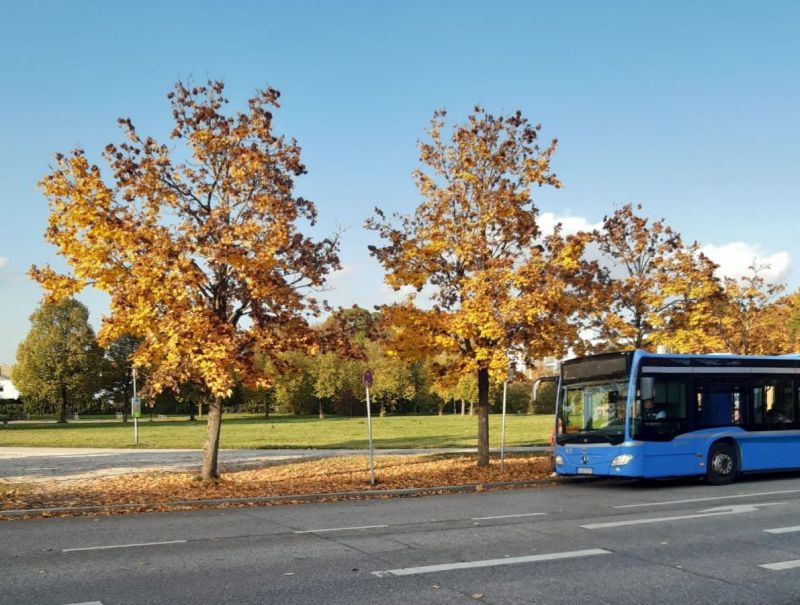 Lengyel turistabusz karambolozott Máramarosban