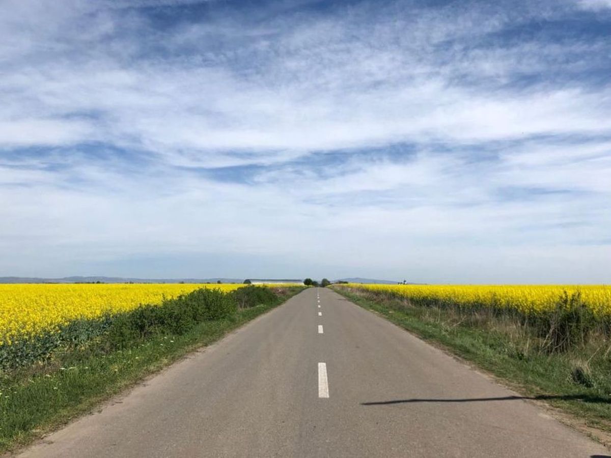 Megvan a kivitelező a temesvári terelőútra